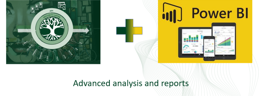 Power BI Berichte